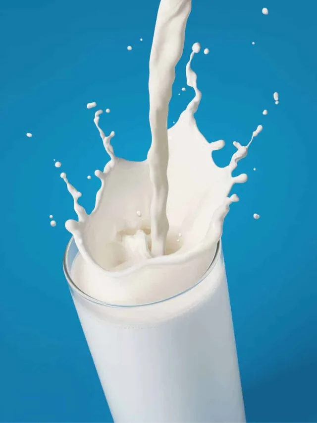 Top 7 Milk Brands In India You Can Trust For Quality and Freshness